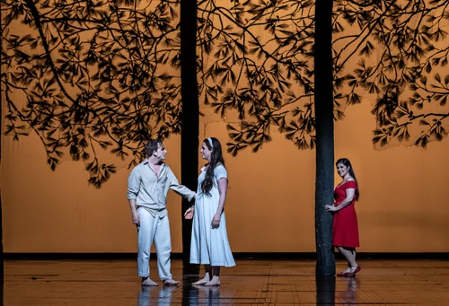 JPYA SUMMER PERFORMANCE II — production photo