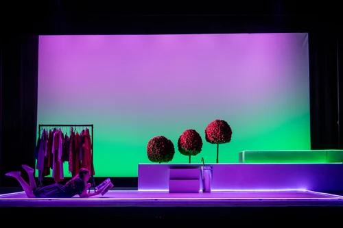 OPERA SCENES — production photo